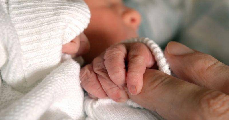 Pixabay.com/neelam279